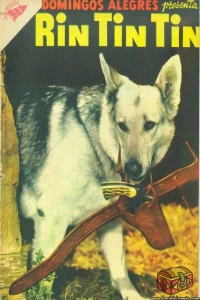 Rin Tin Tin