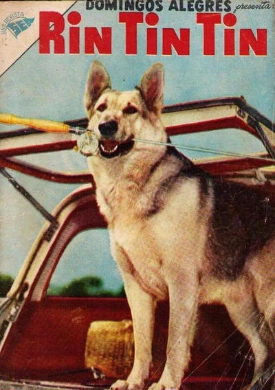 Cover of Rin Tin Tin