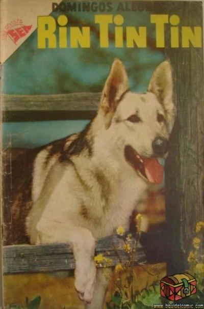 Cover of Rin Tin Tin
