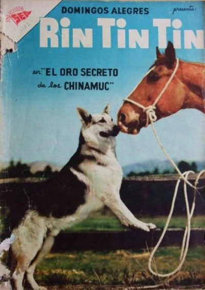 Cover of Rin Tin Tin en "El Oro Secreto de los Chinamuc"