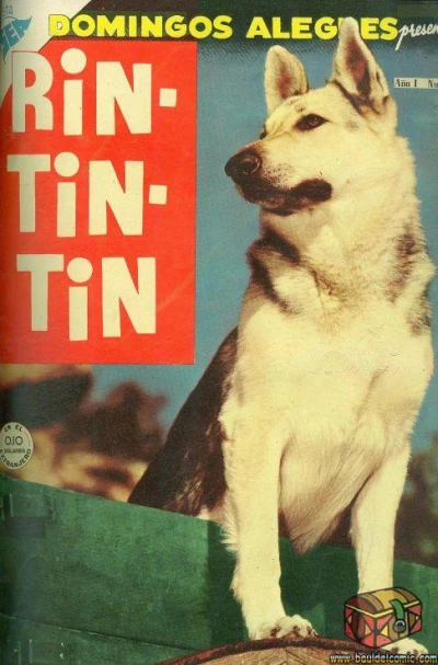 Cover of Rin-Tin-Tin