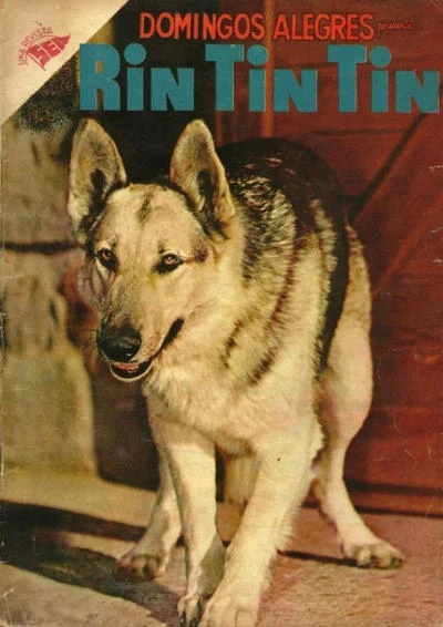 Cover of Rin Tin Tin
