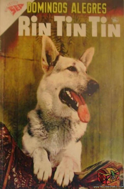Cover of Rin Tin Tin