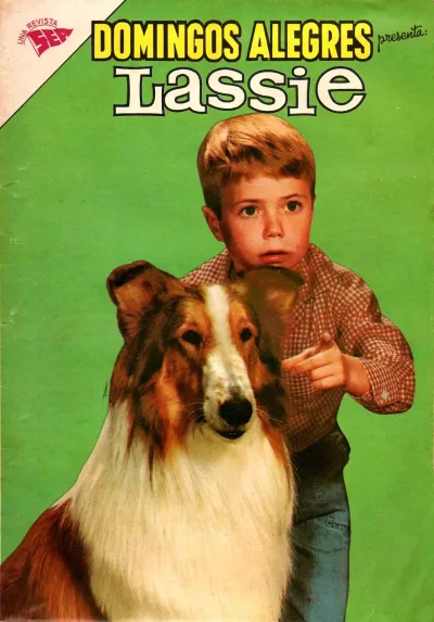 Cover of Issue #430