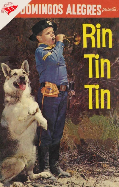 Cover of Rin Tin Tin