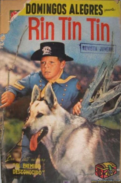 Cover of Rin Tin Tin
