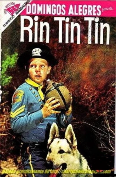 Cover of Rin Tin Tin