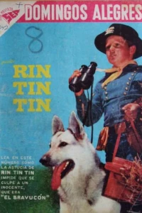 Rin TIn Tin