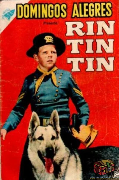 Cover of Rin Tin Tin