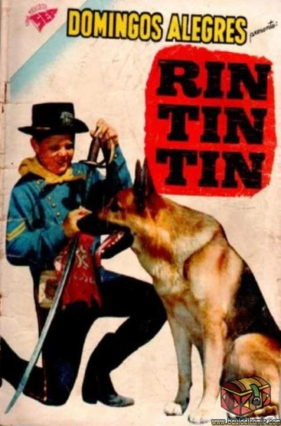 Cover of Rin Tin Tin