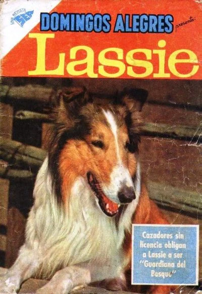 Cover of Lassie