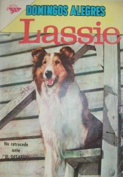 Cover of Lassie