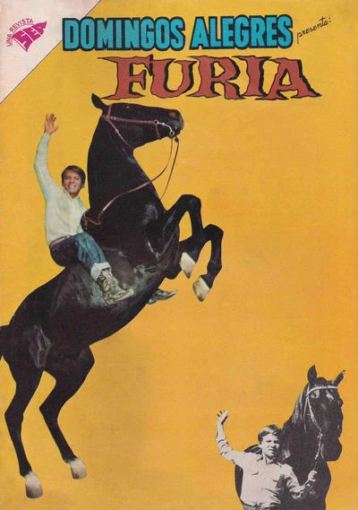 Cover of Furia