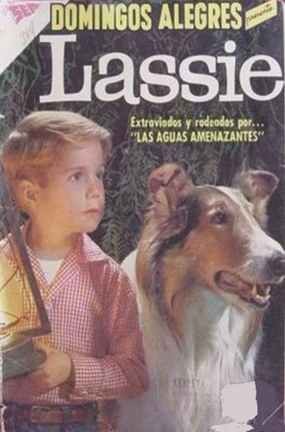 Cover of Lassie