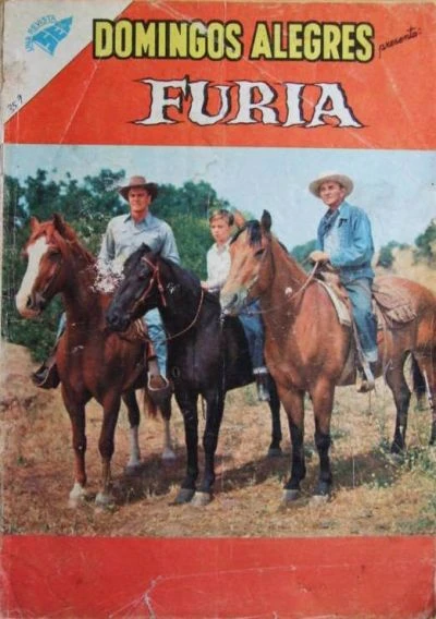 Cover of Furia