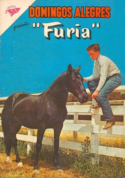 Cover of Furia