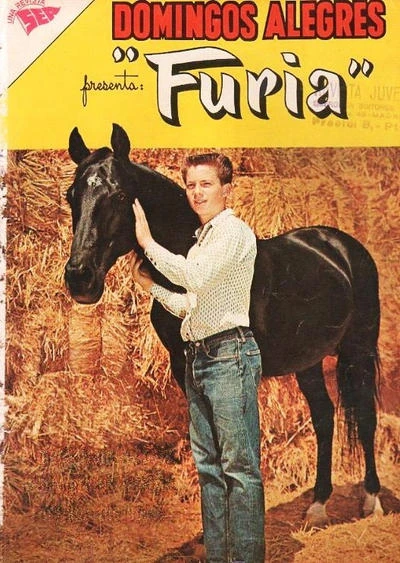 Cover of Furia