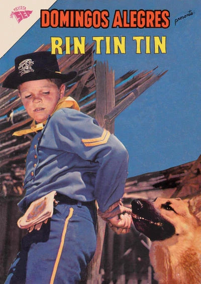 Cover of Rin Tin Tin