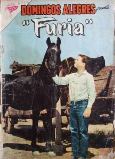 Cover of Furia