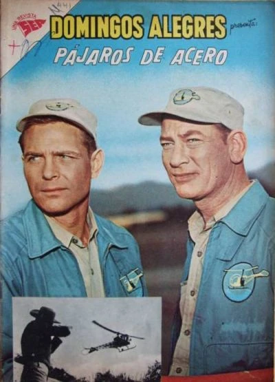 Cover of Pajaros de Acero