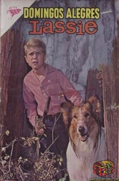 Cover of Lassie