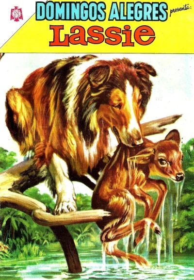 Cover of Lassie