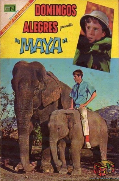 Cover of "Maya"