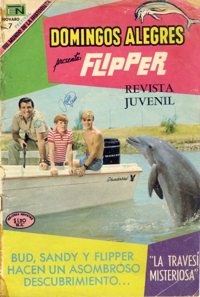 Cover of Flipper