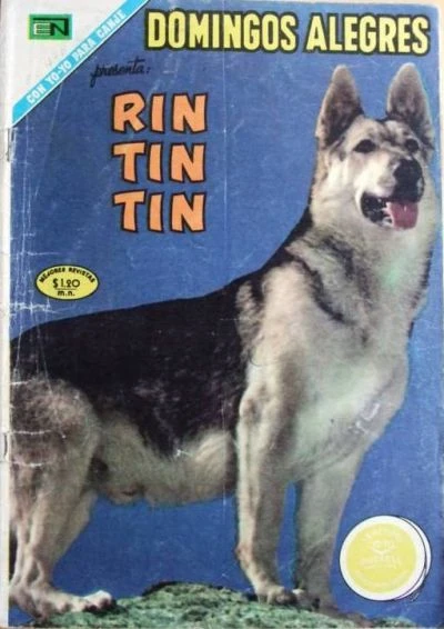 Cover of Rin Tin Tin