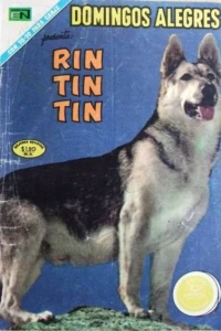 Rin Tin Tin