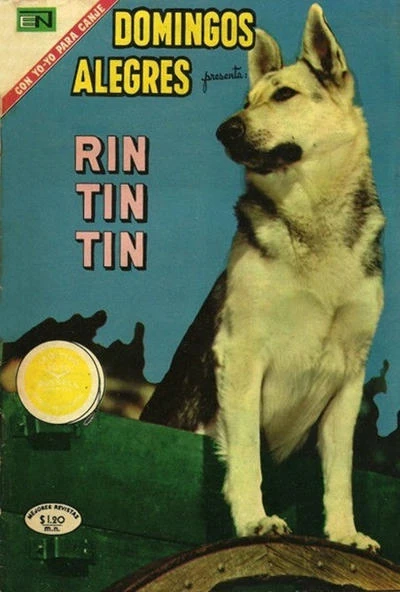 Cover of Rin Tin Tin