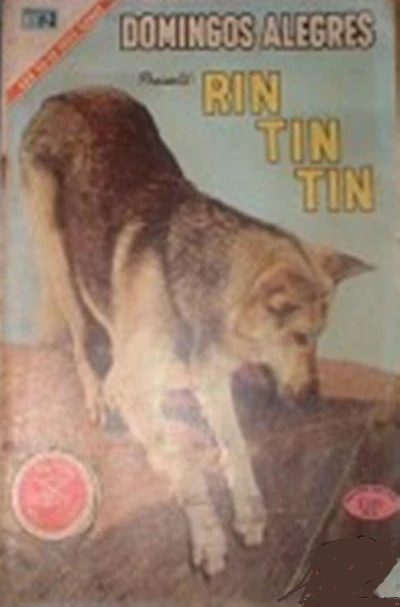Cover of Rin Tin Tin