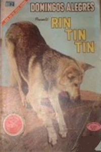 Rin Tin Tin