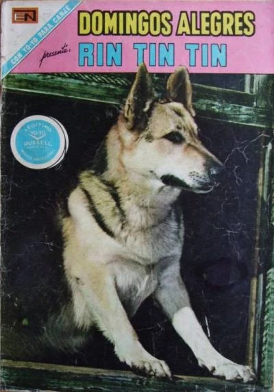Cover of Rin Tin Tin