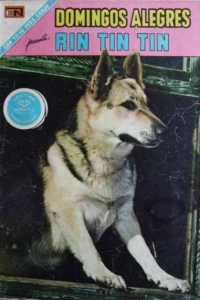 Rin Tin Tin
