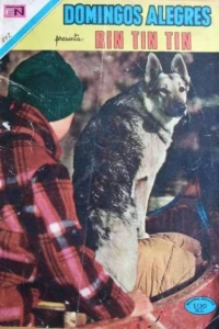 Rin Tin Tin