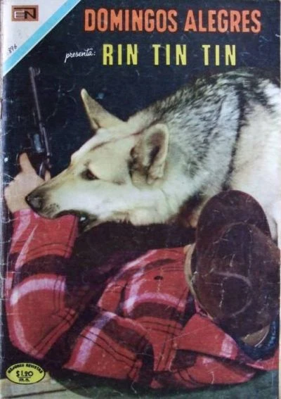 Cover of Rin Tin Tin