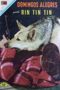 Rin Tin Tin