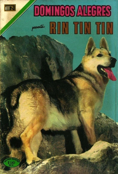 Cover of Rin Tin Tin