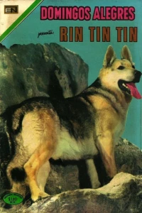 Rin Tin Tin