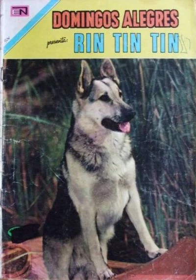 Cover of Rin Tin Tin