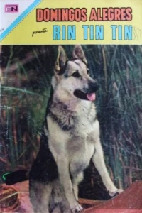 Rin Tin Tin