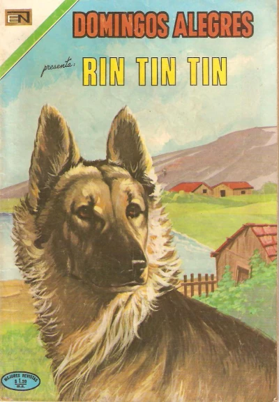 Cover of Rin Tin Tin