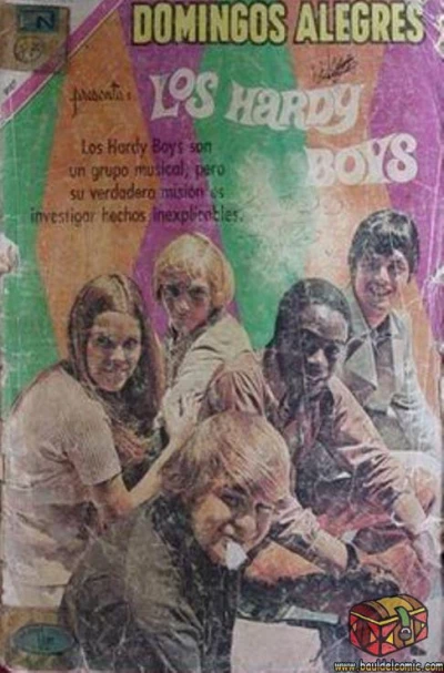 Cover of Los Hardy Boys