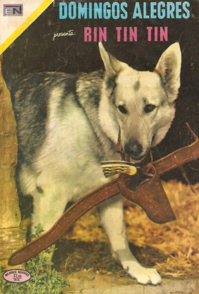 Cover of Rin Tin Tin