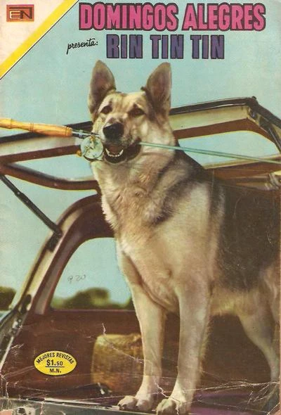 Cover of Rin Tin TIn