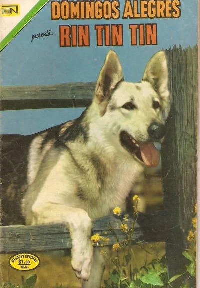 Cover of Rin Tin Tin
