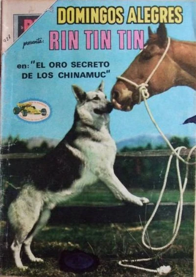 Cover of Rin Tin Tin en: "El Oro Secreto de los Chinamuc"