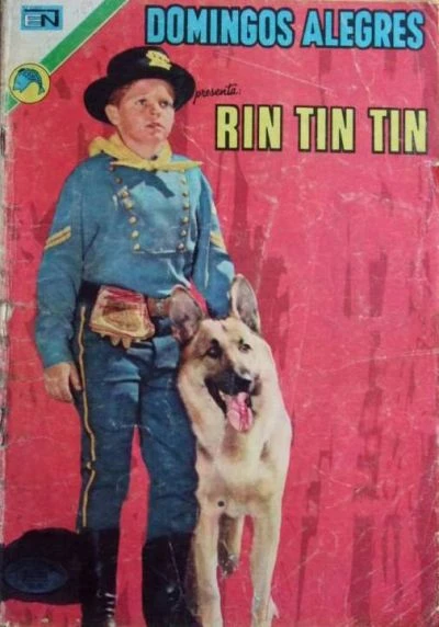 Cover of Rin Tin Tin