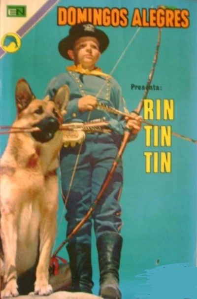 Cover of Rin Tin Tin